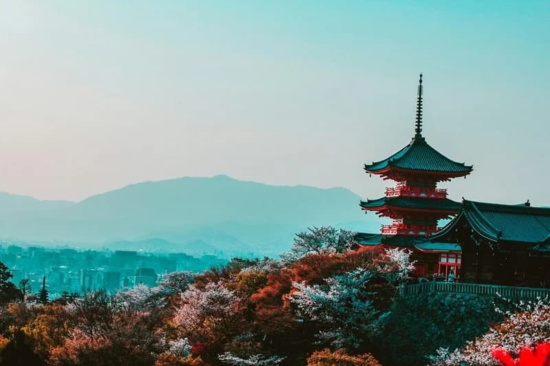 Peluang Kerja di Jepang 2025: Profesi Ter-Populer dan Pelonggaran Aturan Ketenagakerjaan Asing